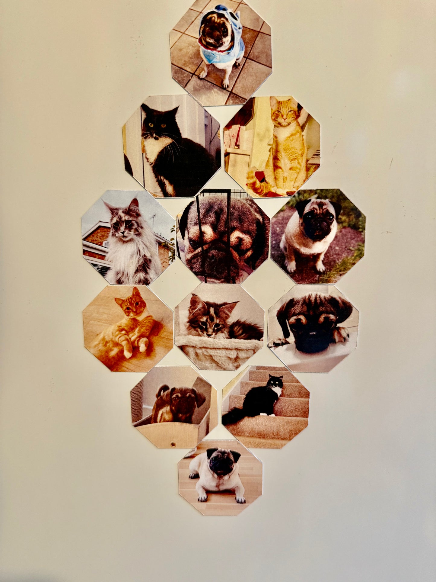 Hexagon Photo Fridge Magnets – Set of 12