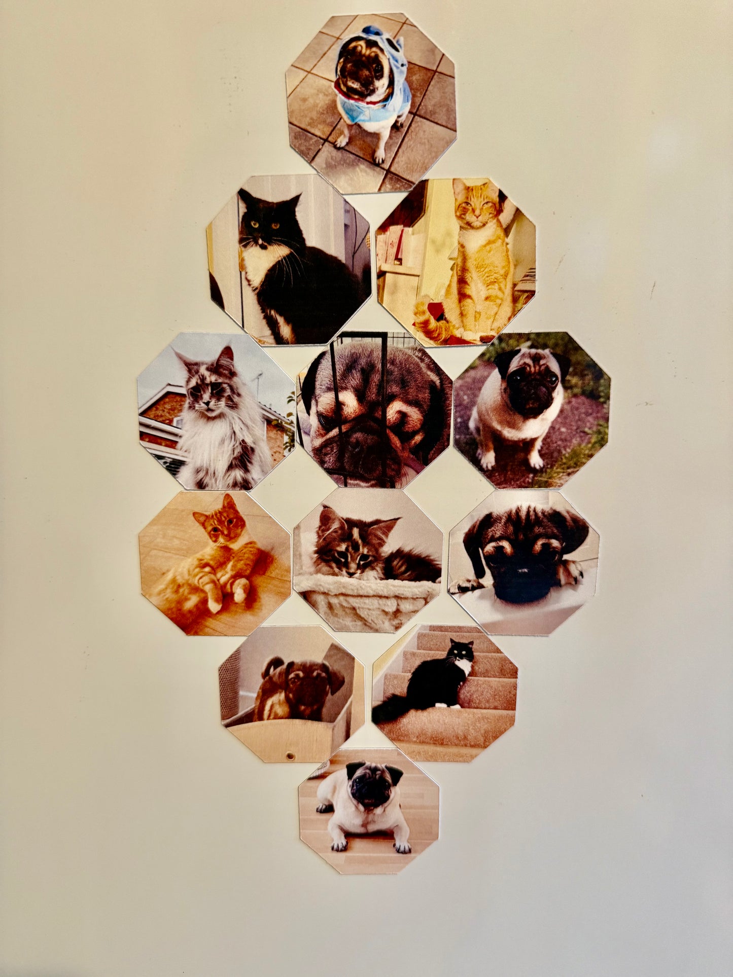 Hexagon Photo Fridge Magnets – Set of 12