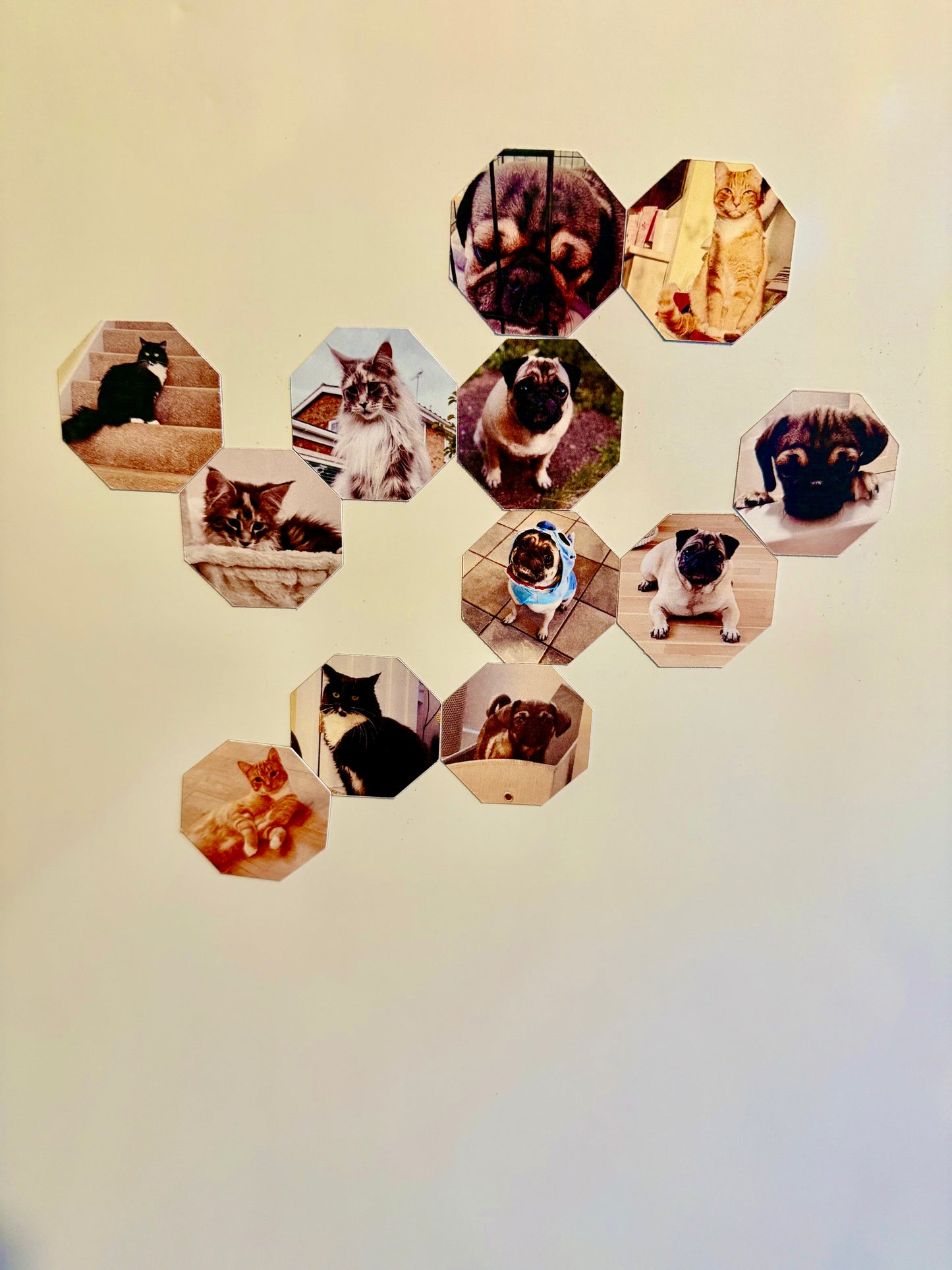 Hexagon Photo Fridge Magnets – Set of 12