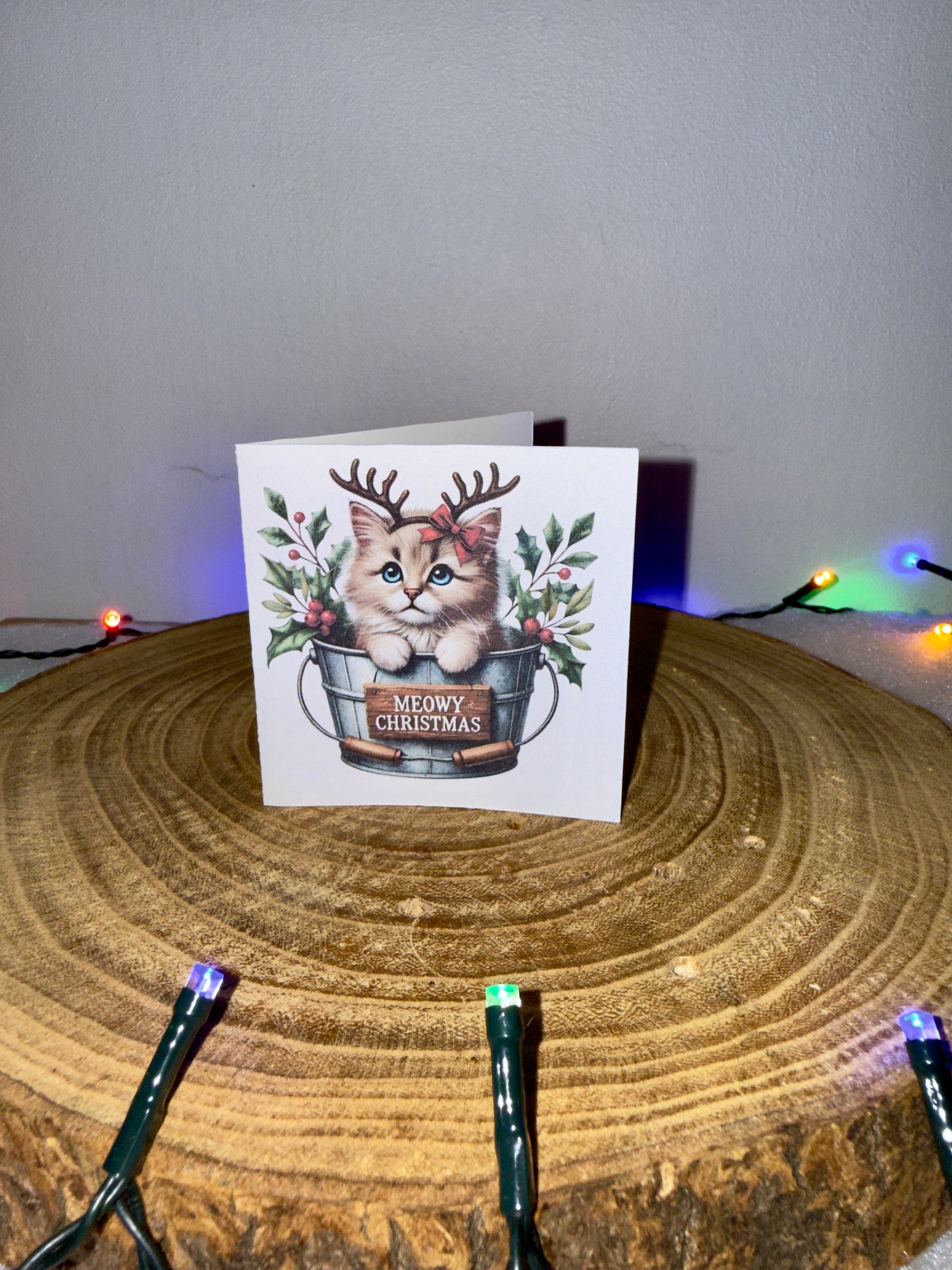 Meowy Christmas Collection – Set of 10 Small Festive Cat Cards with Envelopes