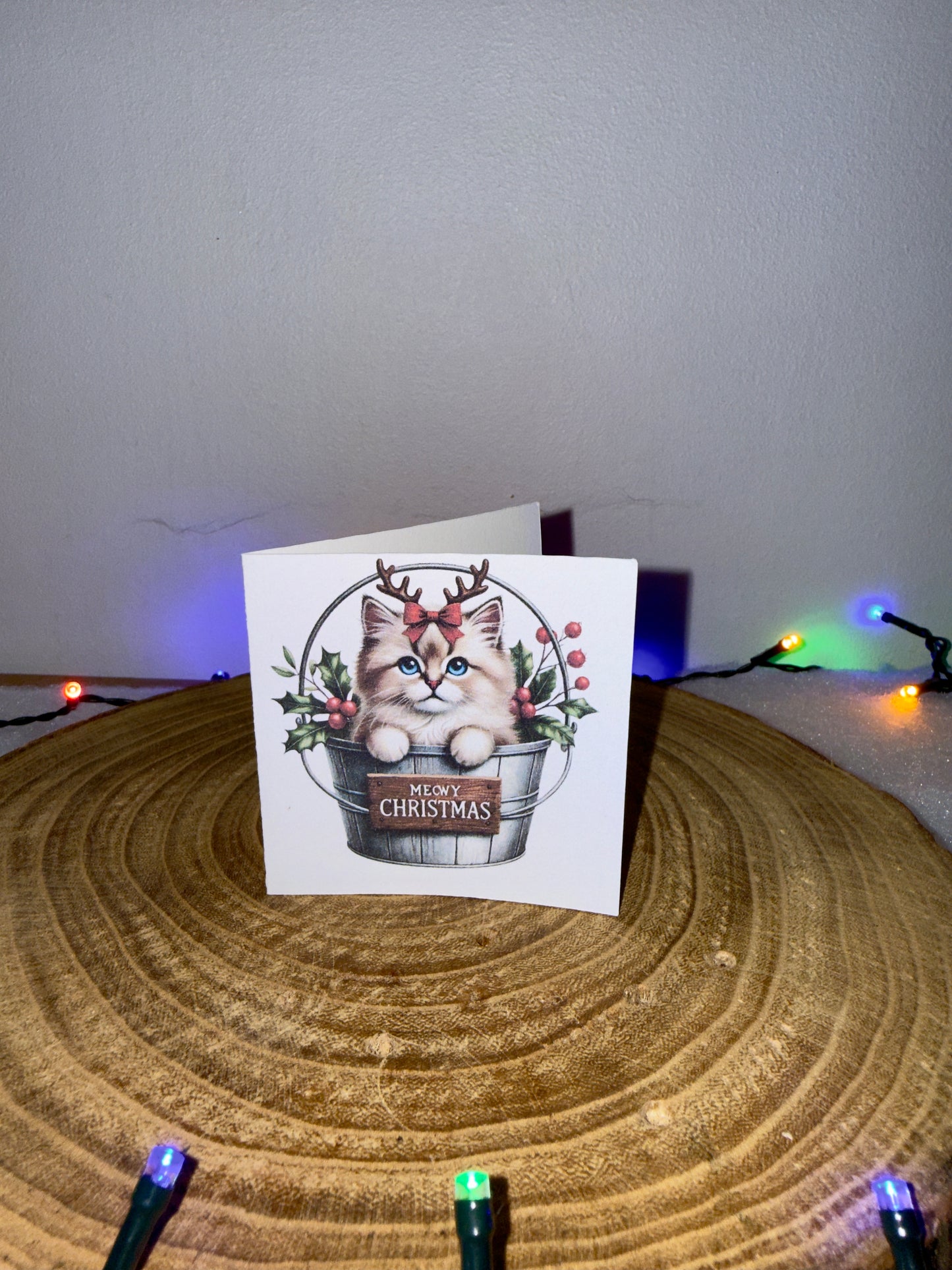 Meowy Christmas Collection – Set of 10 Small Festive Cat Cards with Envelopes