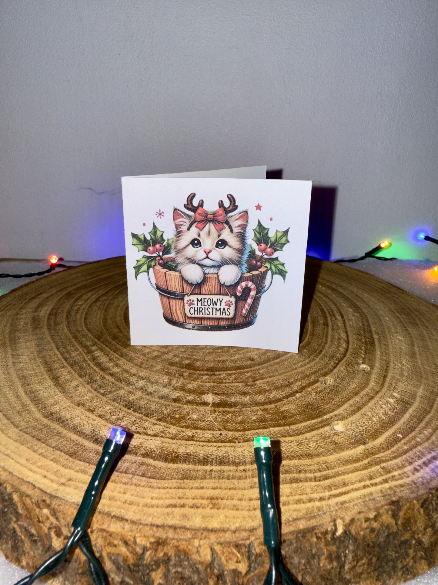 Meowy Christmas Collection – Set of 10 Small Festive Cat Cards with Envelopes