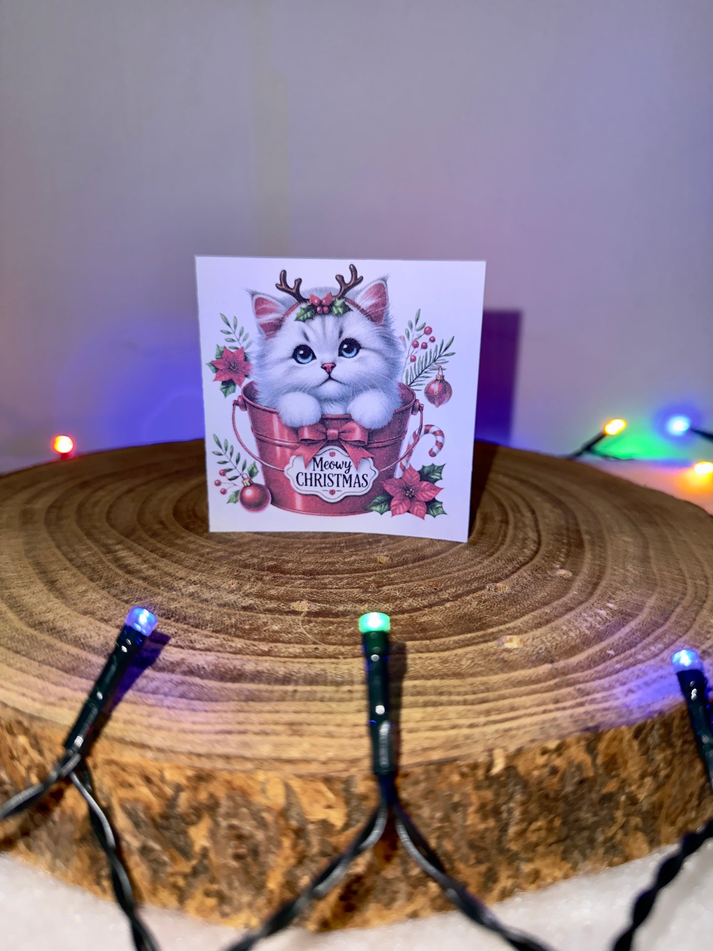 Meowy Christmas Collection – Set of 10 Small Festive Cat Cards with Envelopes