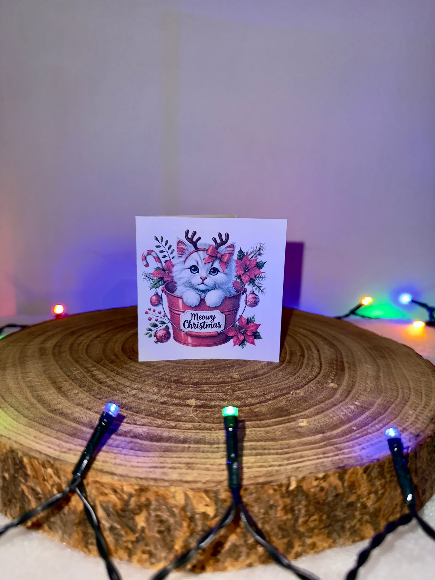 Meowy Christmas Collection – Set of 10 Small Festive Cat Cards with Envelopes